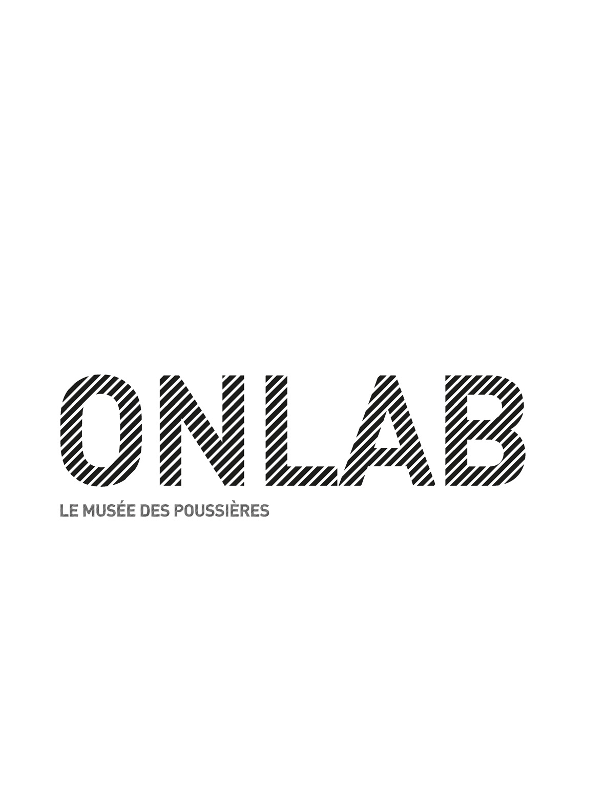 Michel Paysant, recent project, Onlab, page 